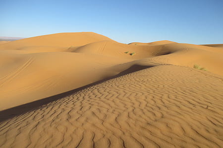 desert wallpaper thumbnail