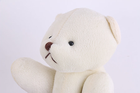 white bear plush toy thumbnail