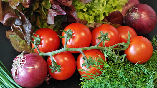 cherry tomatoes, lettuce, and red onions thumbnail