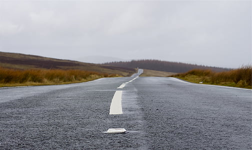 asphalt road surrounded by grass thumbnail