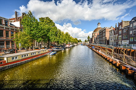 green trees along body of water thumbnail