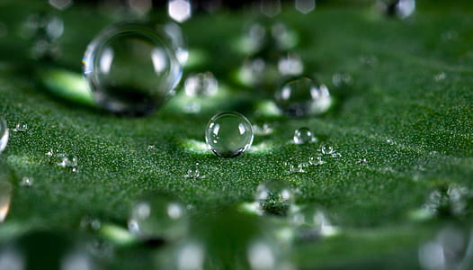 water macro droplets thumbnail