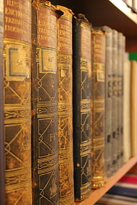closeup photo of assorted-title books on brown wooden bookshelf thumbnail