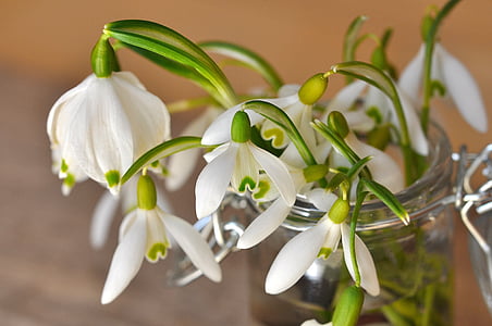white flowers in vase thumbnail