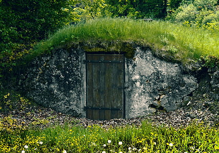 brown wooden door in front of green grass field thumbnail
