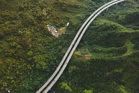 aerial photography of 2-lane road between forest at daytime thumbnail