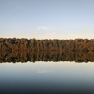 mirror photography of trees under blue sky thumbnail