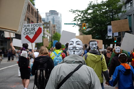 people with Guy Fawkes Mask walking on road thumbnail