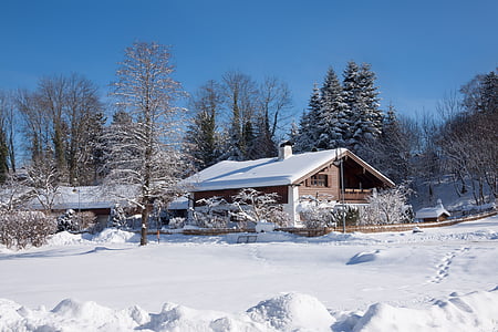 snow covered brown house at day time thumbnail