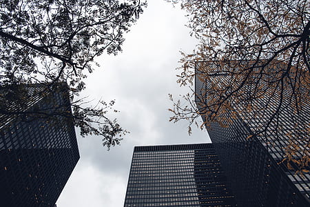 Worms Eye View of High Rise Buildings thumbnail