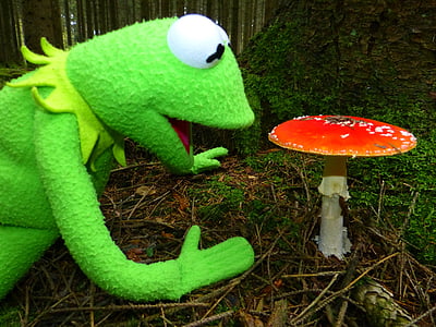 selective photography of Kermit the Frog plush toy beside red mushroom at daytime thumbnail