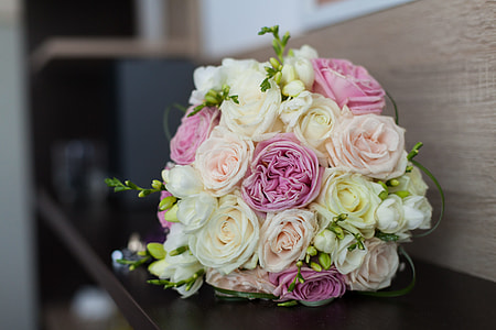 photo of white and pink rose thumbnail