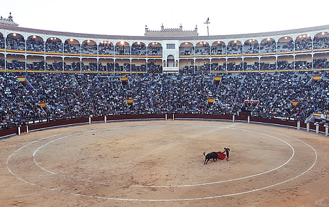 Bullfighting in Madrid, Spain thumbnail