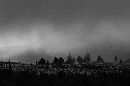 grayscale photo of mountains with trees thumbnail