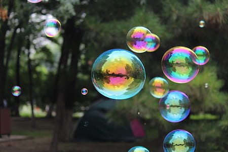 photography of bubbles near green rees thumbnail