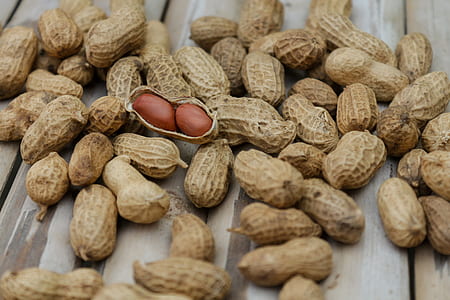 food, healthy, dry, pattern thumbnail
