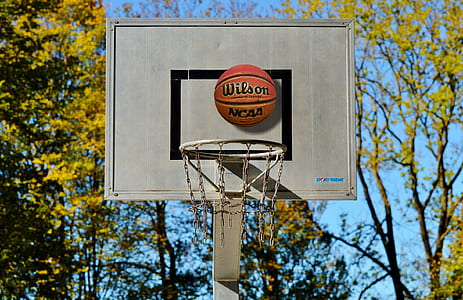 Wilson basketball on gray basketball board thumbnail