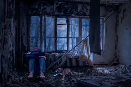 person in blue long-sleeved top and blue jeans seating beside short-coated brown dog thumbnail