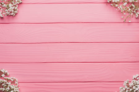 flowers, petals, pink, bloom thumbnail