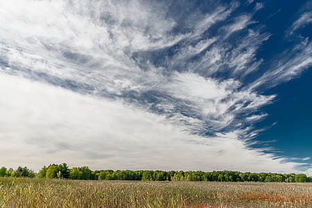 Grass Field Under Blue Sky thumbnail