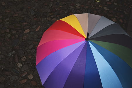 Umbrella on Rainy Day thumbnail