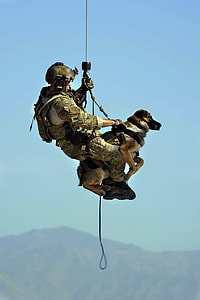 male soldier carrying a dog on outdoors thumbnail