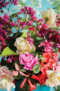 assorted flowers on bloom thumbnail