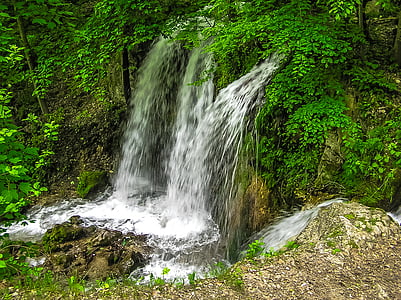 waterfalls surrounded plants thumbnail