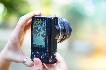 hand, camera, summer, photography thumbnail