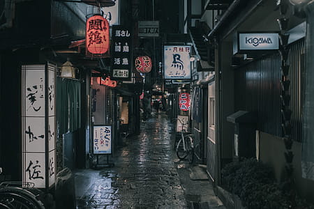 Concrete Road and Establishments thumbnail