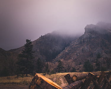 brown mountain and tree under gray sky thumbnail