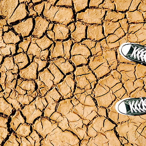 pair of lace-up sneakers on cracked ground thumbnail