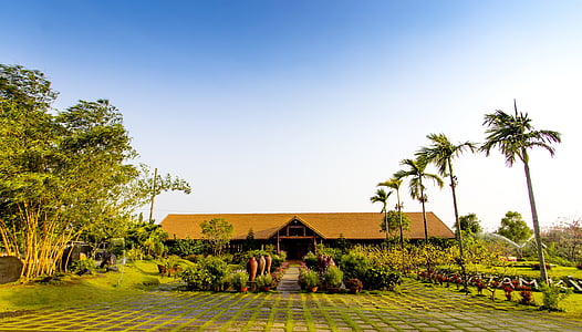 brown wooden house during daytime thumbnail