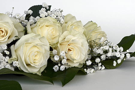 bouquet of white roses thumbnail