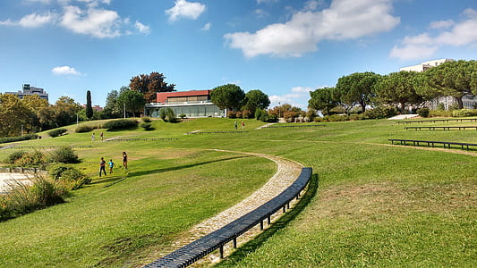People on the Green Grass Field Under Cloudy Skies during Daytime thumbnail