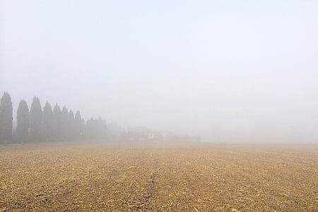 open field under cloudy sky thumbnail