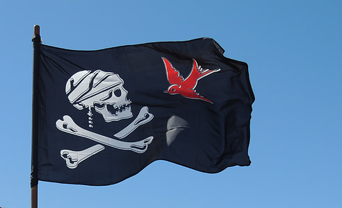 close-up photo of pirate flag thumbnail