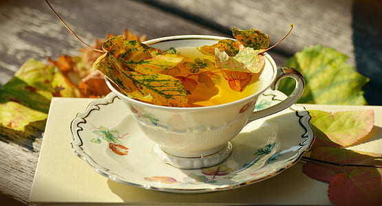 white ceramic tea cup on white ceramic saucer thumbnail