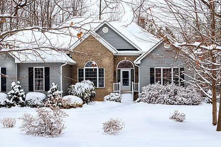 snow covered house near bare trees thumbnail