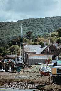 white and brown sailboat on grass thumbnail