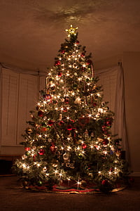 green Christmas tree with turned on lights thumbnail