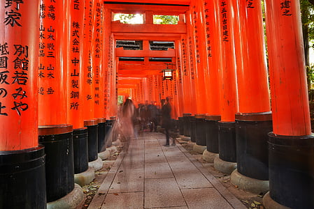 architectural photography of red temple pillars thumbnail