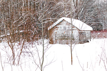 brown wooden shed cover with snow thumbnail