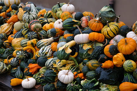 selective focus photo of pumpkins thumbnail