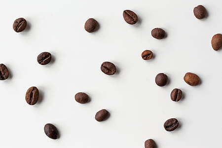 macro-shot of brown nuts thumbnail
