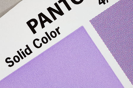 purple color thumbnail