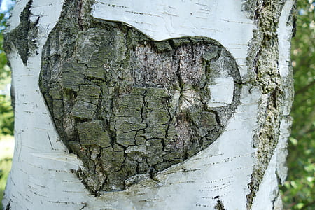 gray and brown heart wood carved thumbnail