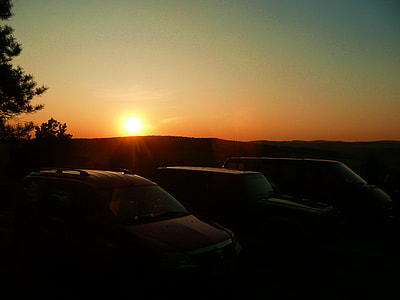 car parked beside tree under golden hour thumbnail