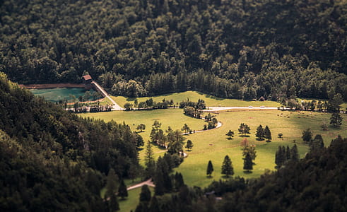 aerial photo of body of water surrounded by trees thumbnail