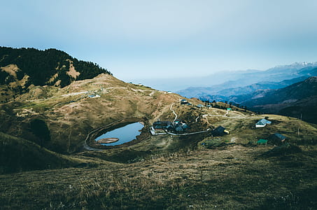 green grass field thumbnail